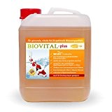 BIOVITAL-plus 2500 ml Milchsäurebakterien, probiotische Filterbakterien, Koi, Teich