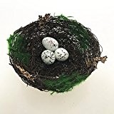 Bird Nest mit 3 Robin Eier Künstliche, Kunstleder natur Moos, Rattan und Zweig Bird 's Nest für Kunst und Handwerk