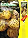 Birnenmelone Pepino Solanum muricatum Melone