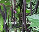Black Gold Kidney-Bohnen (Phaseolus Vulgaris L) Samen Home Garten Gesundheit Gemüse Französisch Bohne 30 Stück