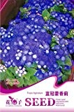 Blaue mexikanische Ageratum Blumensamen, 1 Original-Pack, 50 Samen / Pack, Schöne tropische Whiteweed Blumen # A184