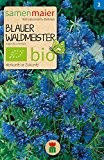 blauer Waldmeister | Bio-Waldmeistersamen von Samen Maier