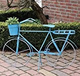 Blaues Nostalgie Pflanzen Fahrrad als Herrenfahrrad im Landhausstil