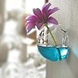 Bluelover Wand Blume Vase Hydrokulturpflanzen Glasbehälter