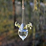 Bluelover Wasser-Tropfenform hängende Glas Vase Hydrokultur Pflanzen Garten Blumentopf