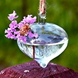Bluelover Zwiebel-Form hängende Vase Hydrokulturpflanzen Glasbehälter