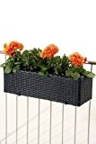 Blumenkasten "Balkoni" Polyrattan 60 cm schwarz mit Bewässerungsset