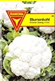 Blumenkohl, Erfurter Zwerg, früher, ca. 90 Samen
