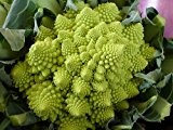 Blumenkohl Romanesco - Kohl - Broccoli - Brokkoli - 100 Samen