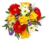 Blumenstrauß Blumenversand "Alles Gute" +Gratis Grußkarte+Wunschtermin+Frischhaltemittel+Geschenkverpackung