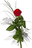 Blumenstrauß Blumenversand einzelne rote Rose "Hab' Dich lieb" +Gratis Grußkarte+Wunschtermin+Frischhaltemittel+Geschenkverpackung