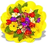 Blumenstrauß Blumenversand Frühling "Frühlingsgruß" +Gratis Grußkarte+Wunschtermin+Frischhaltemittel+Geschenkverpackung