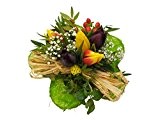 Blumenstrauß "Tulpentraum" VERSANDKOSTENFREI +kostenloser Geschenkkarte Blumenversand