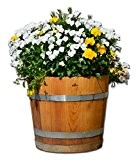 Blumentopf, Blumenkübel aus Eichen-Holz - Fass, Holzfass als Pflanzkübel - Weinfass, Bottich, Holzkübel (D30 bis D60) geölt mit Rollen (D60 ...