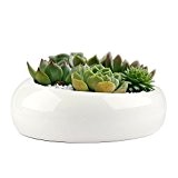 Blumentopf, Smater Moderne minimalistische weiße Keramik Sukkulente Übertopf pot-6.3inch rund