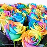 Blumenversand - Blumenstrauß - Rainbow Roses - 20 Stück Regenbogenfarbene Rosen