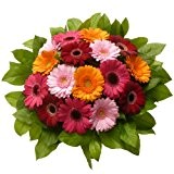 Blumenversand - Blumenstrauß - zum Geburtstag - Farbpracht - mit 16 bunten Mini - Gerbera - mit Gratis - Grußkarte ...