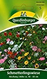 Blumenwiese - Schmetterlingswiese Insekten-Nektar von Quedlinburger Saatgut