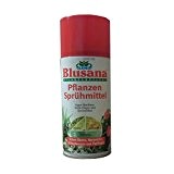 Blusana Pflanzen Sprühmittel 250ml, gegen Blattläuse, weiße Fliegen, Spinnmilben