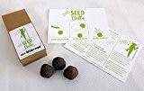 'Blütenmeer' Seedballs - 10er Packung Seedbombs