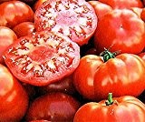 Bobby-Seeds Bio-Tomatensamen Marmande Portion