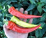 Bobby-Seeds Chili- Peperonisamen Semaroh Pepperoni, mild Portion