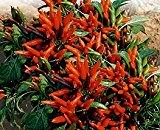Bobby-Seeds Chili- Peperonisamen Stromboli, Pepperoni Portion