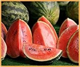 Bobby-Seeds Melonensamen Crimson Sweet - Wassermelone 50 Korn