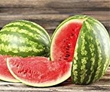Bobby-Seeds Melonensamen Crimstar F1 Wassermelone Portion