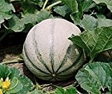 Bobby-Seeds Melonensamen de Charentais Zuckermelone Portion