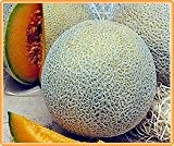 Bobby-Seeds Melonensamen Hales Best Jumbo Zuckermelone Portion