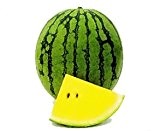 Bobby-Seeds Melonensamen Primagold F1 Wassermelone Portion