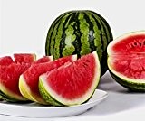 Bobby-Seeds Melonensamen Viking F1 Wassermelone Portion