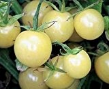 Bobby-Seeds Tomatensamen Cherrytomate Snow Berry Portion