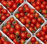 Bobby-Seeds Tomatensamen Kirschtomate Red Cherry Portion