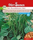 Bohnen - Bio-BuschBohnen - Maxi von Dürr-Samen
