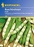 Bohnen - BuschBohnen - Facta von Kiepenkerl
