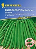 Bohnen - BuschBohnen - Primavera von Kiepenkerl