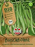 Bohnensamen - Bio-Buschbohne (grüne Bohne) Maxi - Bio-Saatgut von Sperli-Samen