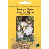 Bonsai - 35 Samen von Zwergmyrte, Myrtus tarentina, 90071