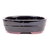 Bonsai - Schale oval 15 x 11 x 4,5 cm, schwarz 15111