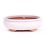 Bonsai - Schale oval 20 x 16 x 6 cm, cremefarben 22094