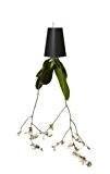 boskke Sky Planter Recycled: über Kopf hängender Blumentopf -Medium- (schwarz)