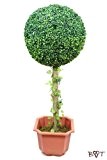 Buchs Buchsbaum 90 cm hoch + große Buchsbaumkugel Ø 28 cm 280 mm grün dunkelgrün KOMPLETT mit Echtholzstamm Holz und ...