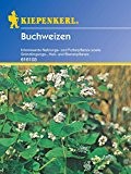 Buchweizen, Fagopyrum esculentum - 1 Portion