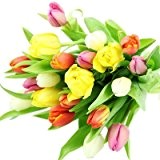 Bunte Tulpen als Geschenk im Frühling