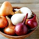 Bunte Zwiebel 100 Samen -Organic- 5 Sorten in 1 Packung /Aufregende Farben und Formen