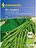 Buschbohnen Bio-Buschbohne grün (Maxi) Bio-Saatgut