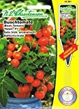 Buschtomate Totem F1 Tomate Lycopersicon esculentum rot