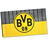 BVB 09 Hissfahne Borussia Dortmund 150 x 250 cm Fahne Flagge 10134300